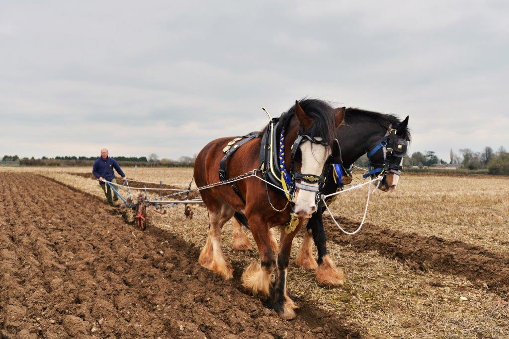 Weald of Kent Ploughing Match